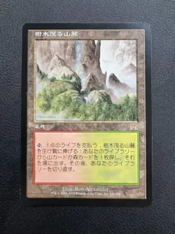 MTG Wooded Foothills ONS Land R 166354 - Image 1