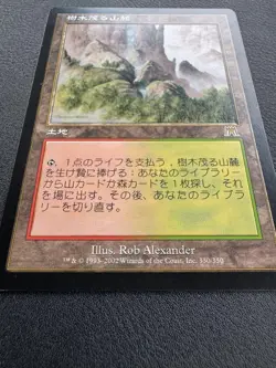 MTG Wooded Foothills ONS Land R 166354 - Image 2