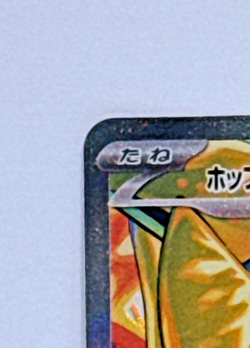 Hop's Zacian ex SAR 128/100 SV9 Battle Partners Pokemon Card Japanese Near mint - Image 3