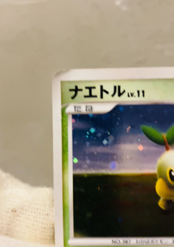 Swirl (HP) Turtwig Holo 072/DP-P Promon 2007 Pokemon Japanese Card Nintendo - Image 2