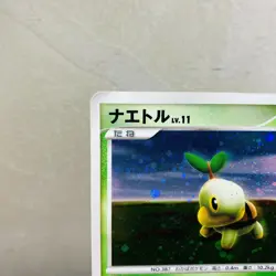 Swirl (HP) Turtwig Holo 072/DP-P Promon 2007 Pokemon Japanese Card Nintendo - Image 4