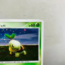 Swirl (HP) Turtwig Holo 072/DP-P Promon 2007 Pokemon Japanese Card Nintendo - Image 5