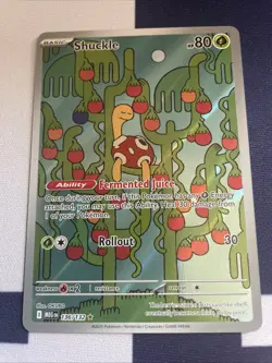 Shuckle 136/132 - ME01: Mega Evolution Pokemon Illustration Rare Holo NM - Image 1