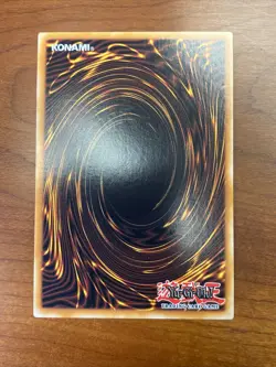 Yugioh! Toon Harpie Lady - TOCH-EN002 - Super Rare - 1st Edition - NM - Image 3