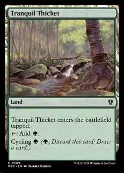 Tranquil Thicket - Murders at Karlov Manor Commander - MTG - Image 1
