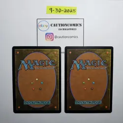 Shields of Velis Vel x2 Lorwyn MTG Magic the Gathering (Box10) - Image 2