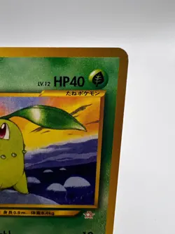 Pokemon Card Chikorita Champion Road Neo Promo 2000 Japanese - Image 3