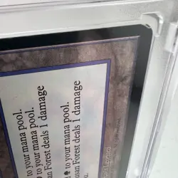 Karplusan Forest - MTG - Ice Age - Magic: The Gathering - Image 4