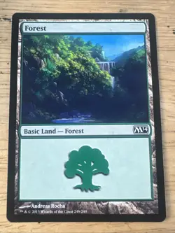 MTG - M14 - Forest - #249 - Lightly Played - Image 1