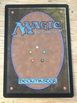 MTG - M14 - Forest - #249 - Lightly Played - Image 2