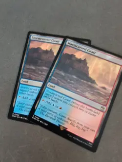 2X Stormcarved Coast - 308 - NM - Universes Beyond: Doctor Who - MTG - Image 1