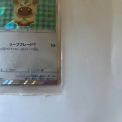 142/SM-P Poncho Wearing Eevee Leafeon Promo Pokemon Japanese Campaign NM - Image 4