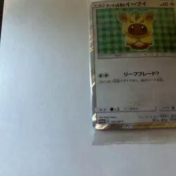 142/SM-P Poncho Wearing Eevee Leafeon Promo Pokemon Japanese Campaign NM - Image 5