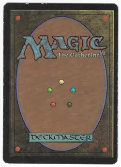 ►Magic-Style◄ MTG - Nevinyrral's Disk - French Revised FBB - Played - Image 2