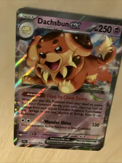 Pokemon Card Dachsbun EX 067/142 Ultra Rare Stellar Crown S&V NM ⭐99p Start⭐ - Image 3