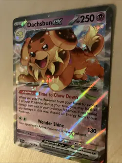 Pokemon Card Dachsbun EX 067/142 Ultra Rare Stellar Crown S&V NM ⭐99p Start⭐ - Image 4