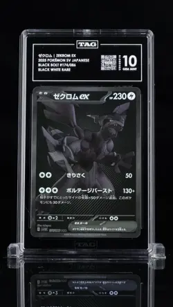 TAG 10 Zekrom ex BWR 174/086 Black Bolt sv11B Pokemon Card Japanese 2025 GM - Image 1