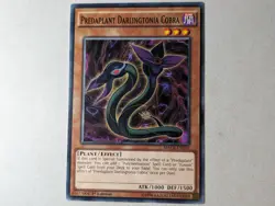 Predaplant Darlingtonia Cobra - MACR-EN010 - Common 1st Edition Yugioh - Image 1