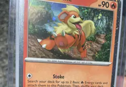 Pokemon Growlithe SVP024 Cosmos Holo Black Star Promo ~ Swirl ~ W/Top Load NM/M - Image 4