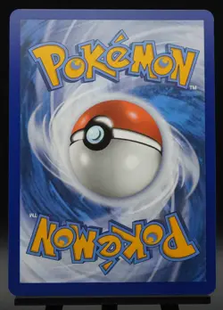 Horsea SVP 137 Black Star Promo Stellar Crown Pokemon Card NM - Image 2