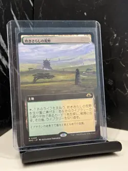 Windswept Heath (Extended Art) Modern Horizons 3 Regular JP NM MTG - Image 1