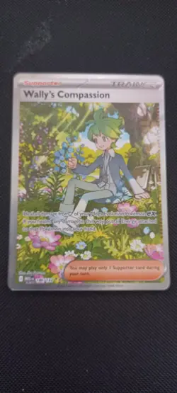 Wally's Compassion 186/132 Special Illustration Rare Pokemon Mega Evolution NM - Image 1
