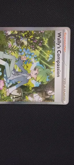 Wally's Compassion 186/132 Special Illustration Rare Pokemon Mega Evolution NM - Image 3