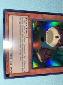 YUGIOH - Naturia Bamboo Shoot - Ultra Rare - 1st ed - DREV - NM - Image 3