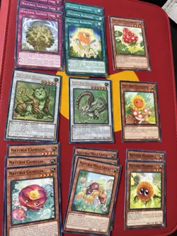 Naturia DECK CORE Sunflower Mole Cricket Camellia Blessing Sacred Tree Beast - Image 1