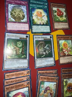 Naturia DECK CORE Sunflower Mole Cricket Camellia Blessing Sacred Tree Beast - Image 2