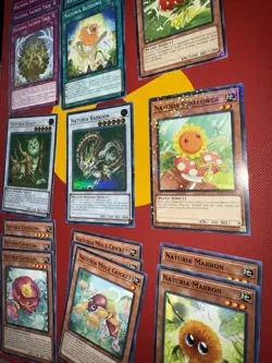 Naturia DECK CORE Sunflower Mole Cricket Camellia Blessing Sacred Tree Beast - Image 3