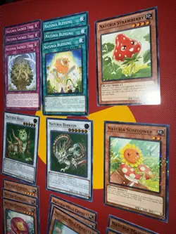 Naturia DECK CORE Sunflower Mole Cricket Camellia Blessing Sacred Tree Beast - Image 4