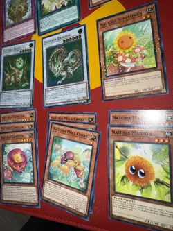 Naturia DECK CORE Sunflower Mole Cricket Camellia Blessing Sacred Tree Beast - Image 5