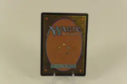 MTG Paradise Mantle City Styles Secret Lair Borderless NON Foil Mint - Image 2