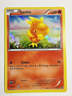 XY Promos - Black Star Promo - Torchic Holo XY37 Pokemon English LP (US Seller) - Image 1