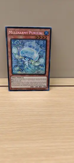 Yugioh Mulcharmy Purulia MP25-EN085 Prismatic Secret Rare 1st Edition NM - Image 3