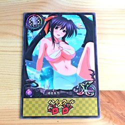 Akeno Himejima High School DxD Goddess Anime Waifu Art Card - Image 1