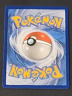 Raihan TG27/TG30 Holo Trainer Gallery Card Silver Tempest Pokemon TCG NM - Image 2