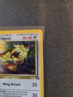 (LP+) 1st Edition Pidgeot 08/64 Jungle Holo Rare Vintage Pokemon Card - Image 4