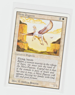 Magic the Gathering ~ MTG ~ 1x Mesa Pegasus ~ Unlimited ~ M/NM - Image 1