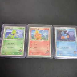 MP/HP Brocks Mudkip Mays Torchic Ashs Treecko 036 037 038/ADV-P Japanese Pokemon - Image 1