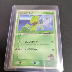 MP/HP Brocks Mudkip Mays Torchic Ashs Treecko 036 037 038/ADV-P Japanese Pokemon - Image 2