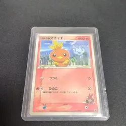 MP/HP Brocks Mudkip Mays Torchic Ashs Treecko 036 037 038/ADV-P Japanese Pokemon - Image 4