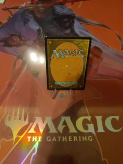 Magic The Gathering Dissension Walking Archive #169/180 MTG TCG CCG - Image 2