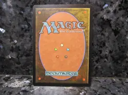 Forest Land MTG deck master John Avon - Image 2