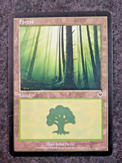 Forest (347) [Invasion] Lightly Played, English Regular MTG (DS3D1J1) - Image 1