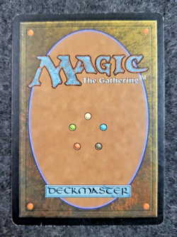 Forest (347) [Invasion] Lightly Played, English Regular MTG (DS3D1J1) - Image 2