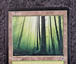 Forest (347) [Invasion] Lightly Played, English Regular MTG (DS3D1J1) - Image 3