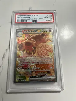 2024 Pokemon SCR en Dachsbun EX Special Illustration Rare Gem MT PSA 10 - Image 1