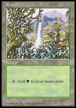 Forest B - Light Play MTG Mirage - Image 1